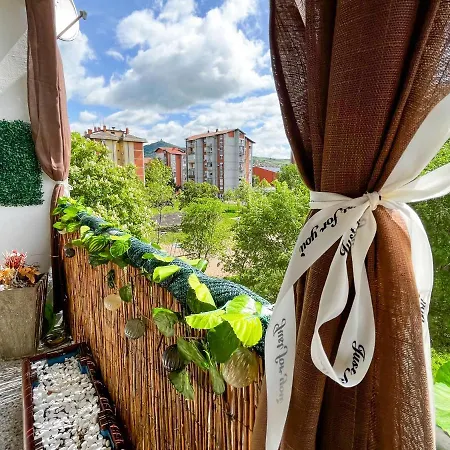 Apartment Sova